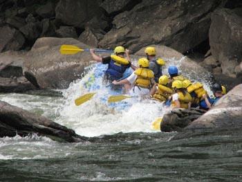 Employee Performance